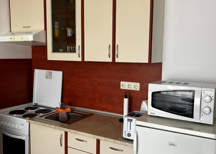 Peter Apartmanbulgaria-imperial Noks 埃勒尼特